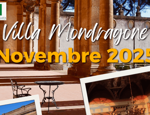 Visite Guidate Novembre 2025