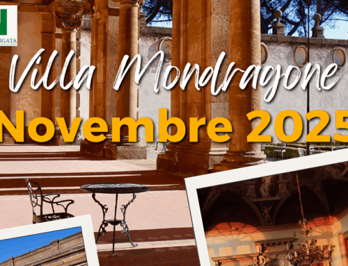 Visite Guidate Novembre 2025