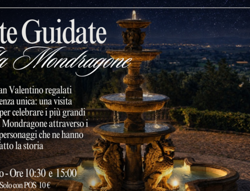 Visite Guidate 14 Febbraio 2026