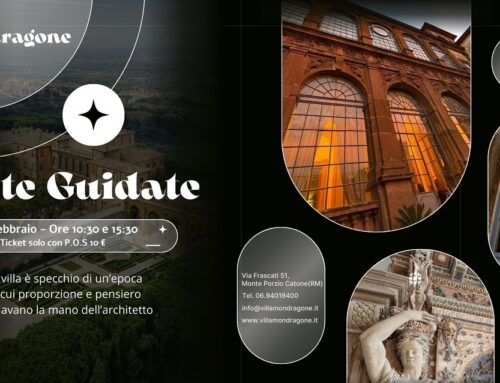 Visite Guidate 15 Febbraio 2026