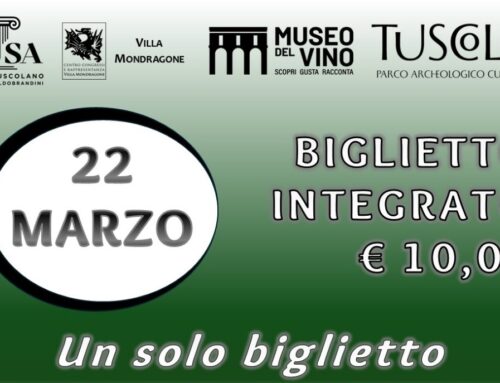 Visita Guidata 22 Marzo 2026