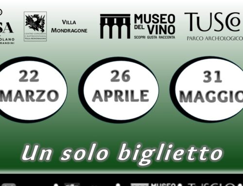 Visite Guidate “Biglietto Integrato”
