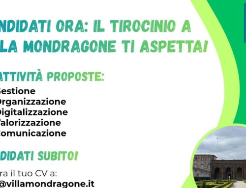 Trasforma i Tuoi Studi in Esperienza: Tirocinio a Villa Mondragone