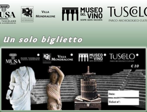 Visita Guidata 31 Maggio 2026