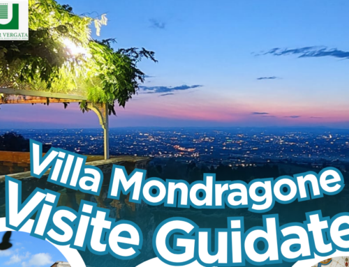 Visite Guidate Settembre 2026