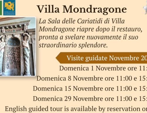 Visite Guidate – Novembre 2026